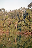 Lake Salvador, the largest oxbow lake in the lower Manu River